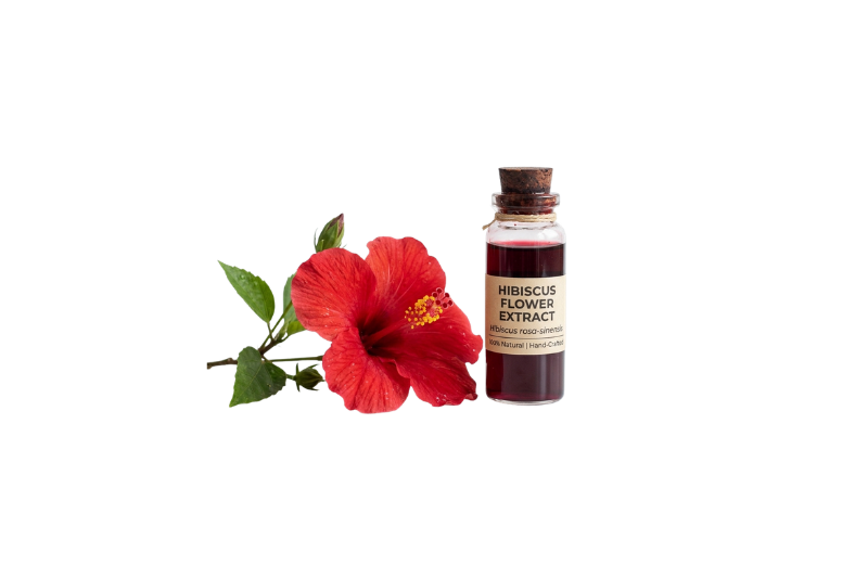 Hibiscus Flower Liquid Extract (Hibiscus rosa-sinensis)