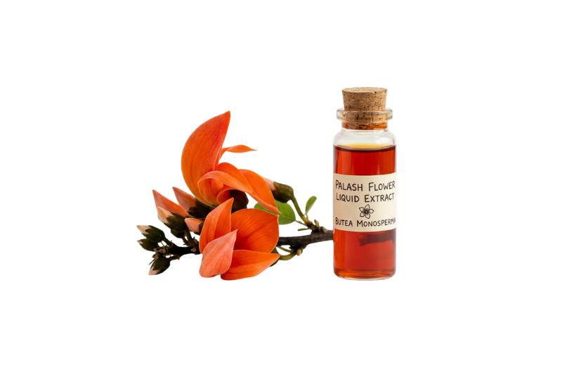 Palash Beej Extract (Palash Seed Extract - Butea monosperma)